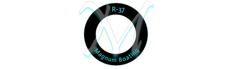 Logo of Magnum Boating
